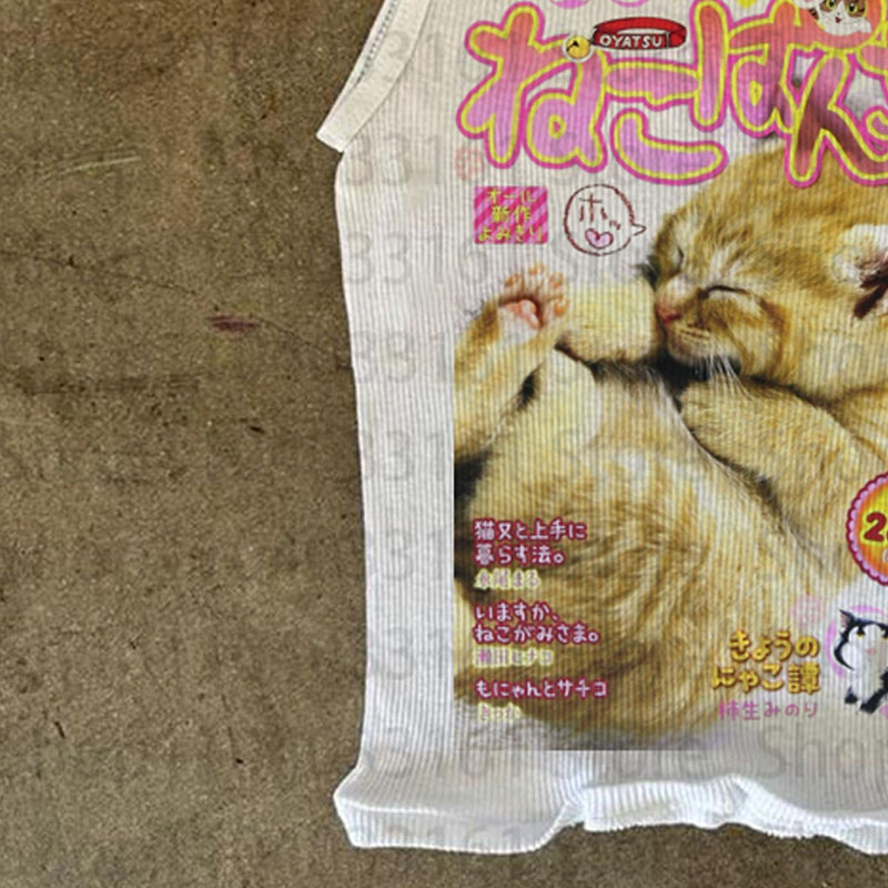 Kawaii Cat Japanese Magazine S - Japanese Lifestyle Magazines reseña y precio